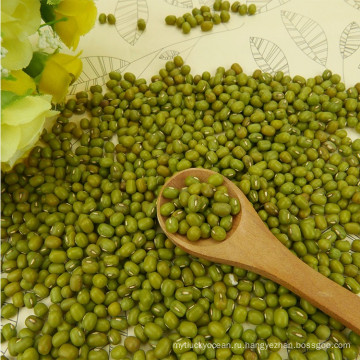 Полированный зеленый класс бобы мунг продается более 3,5 мм
